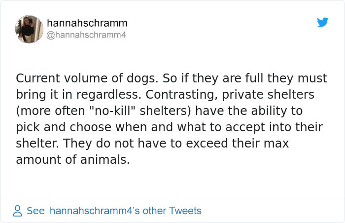 This Girl Explained The Difference Between A ‘Kill’ And ‘No-Kill’ Animal Shelter And It’s Eye-Opening This Girl Explained The Difference Between A ‘Kill’ And ‘No-Kill’ Animal Shelter And It’s Eye-Opening