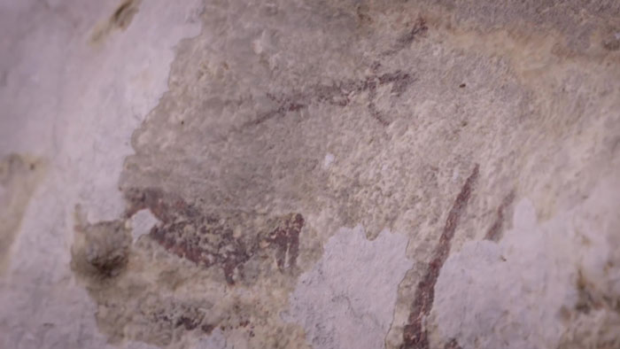 The Newly Discovered 44,000 Y.O. Animal Cave Paintings Tell The Oldest Story On Earth The Newly Discovered 44,000 Y.O. Animal Cave Paintings Tell The Oldest Story On Earth