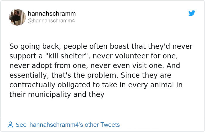 This Girl Explained The Difference Between A &lsquo;Kill&rsquo; And &lsquo;No-Kill&rsquo; Animal Shelter And It&rsquo;s Eye-Opening