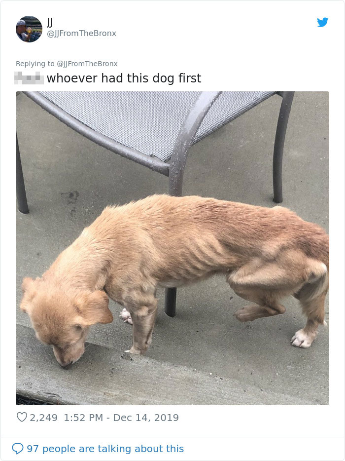 Guy Accidentally Leaves His Front Door Open, Gets 'Chosen' By A Stray Dog Who Walked In At Night Guy Accidentally Leaves His Front Door Open, Gets 'Chosen' By A Stray Dog Who Walked In At Night