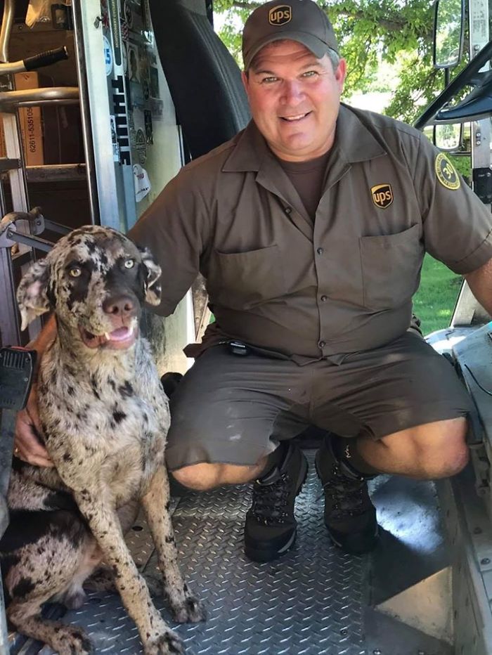 UPS-Drivers-Meets-Animals-Dogs