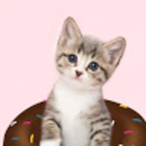 catherinehill avatar