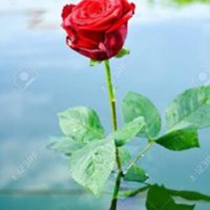 nimjul_nimmyel avatar