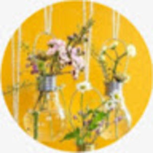 maddynwenstrand avatar