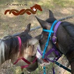 twist_of_fate_18 avatar