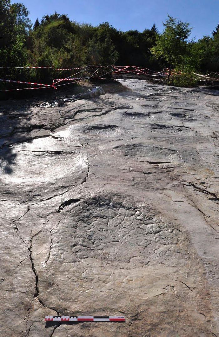Dinosaur Footprints In France
