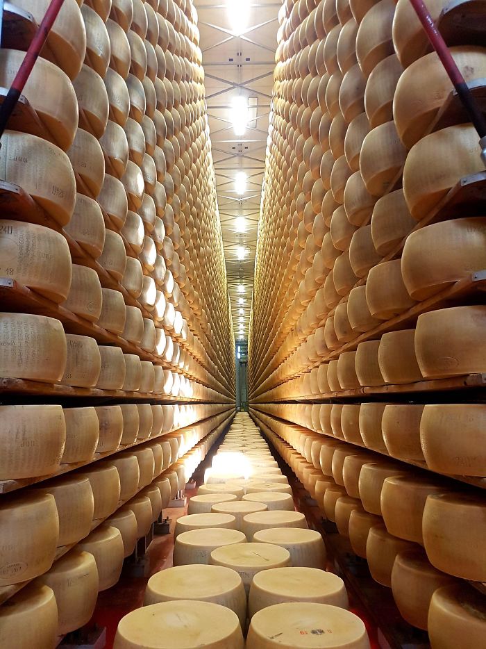 Parmesan Aging Warehouse