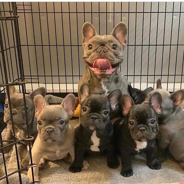 Quite Possibly The Proudest Momma Of All Time