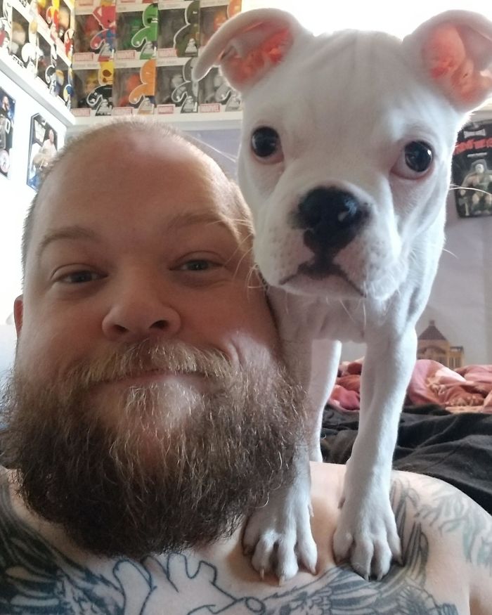 I Think My Parrot Is Broken. All He Says Is Bark.