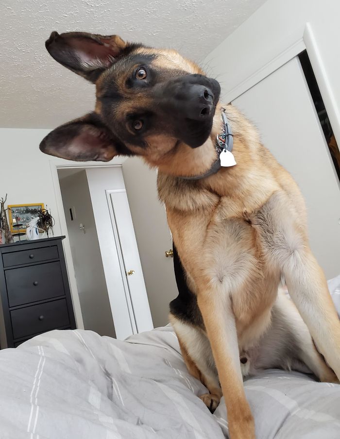 The Face I Get If I Sleep In Past My Alarm