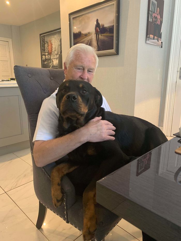 I Just Came Back From A Week Long Holiday And My Dog Doesn’t Want To Leave My Papa (His Babysitter/Favourite Person)