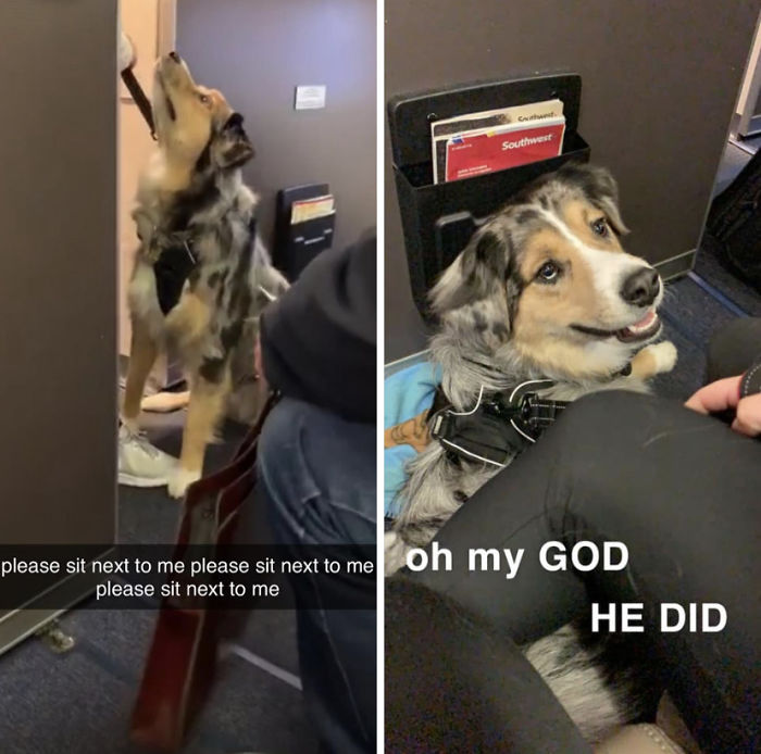 Truly A Beautiful Sequence Of Events