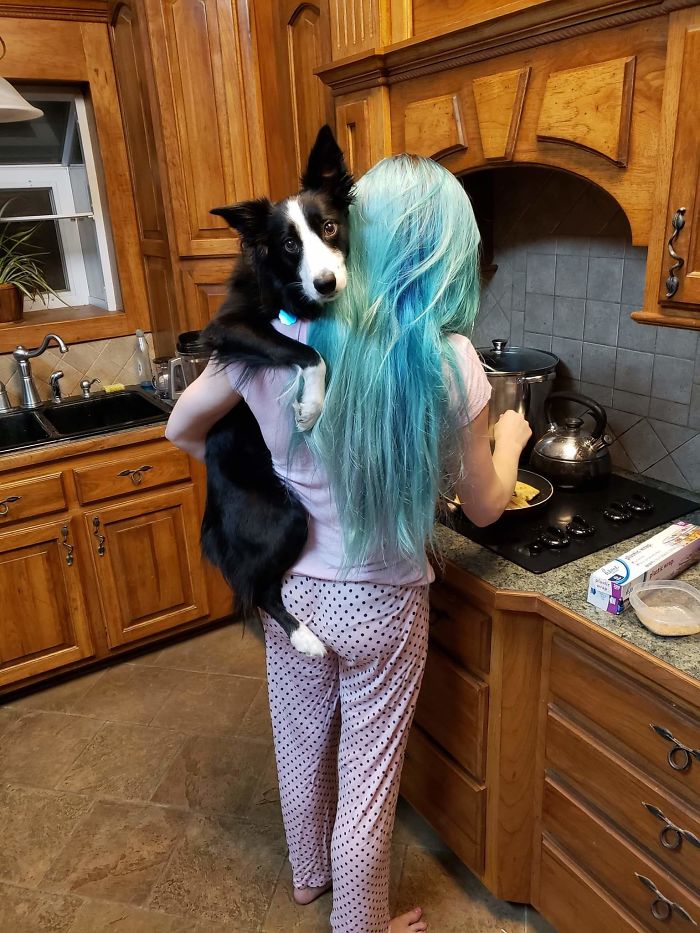 This Doggle Loves To Be Held Like A Baby