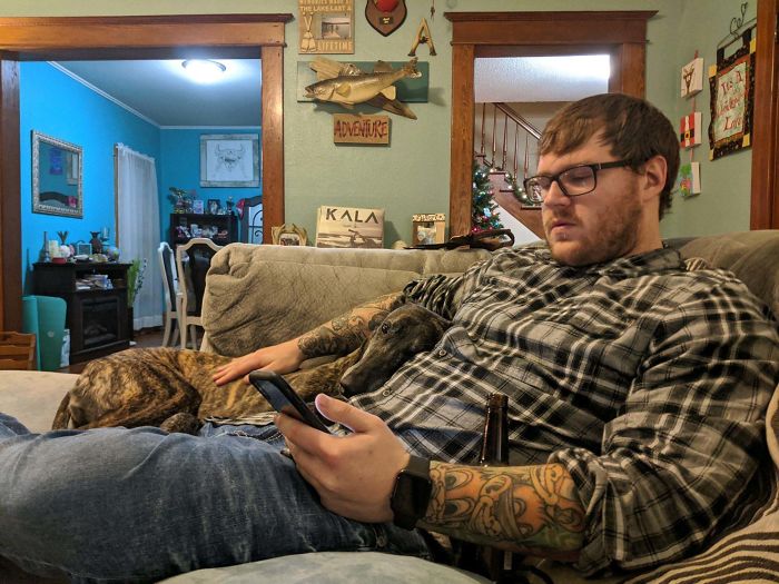 We Adopted A Greyhound That Was Super Skittish For Months And Was Very Suspicious Of Us. Tonight She Initiated Cuddles And My Heart Is Full