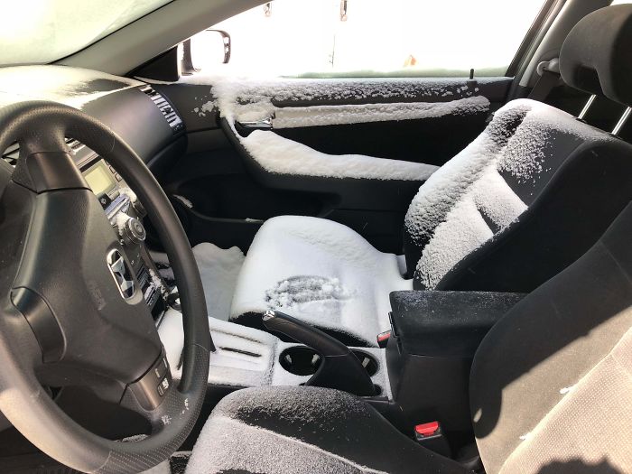 Waking Up To This After Accidentally Leaving The Window Open. Merry Christmas