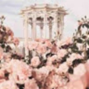 anyapanagakos avatar