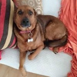 lucianosixtoalmiron avatar