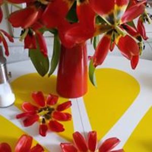 wandawoodbury avatar