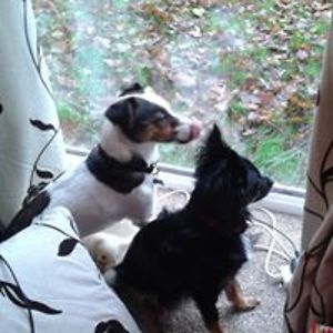 fayeslocombe1_1 avatar