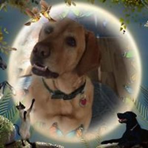 valerie_casale avatar