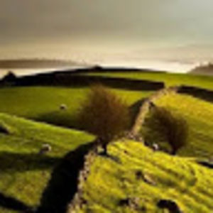 celticchichoosier avatar