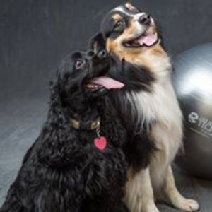 catherine_ratliff avatar