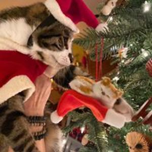 lori_vanburen avatar