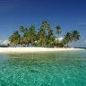 nataliamalloy avatar