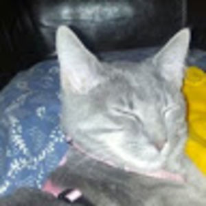 heatherjamieson avatar