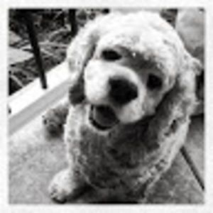 maribethhallahan avatar