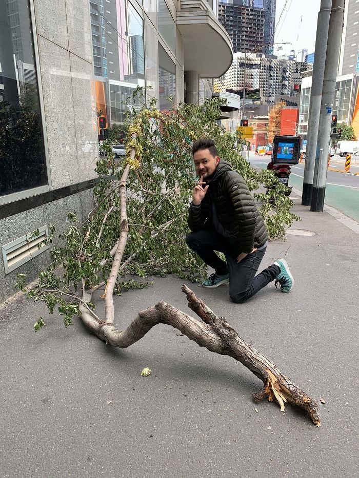 This Tree Branch Fell Down In Front Of My Office And Has Been There All Week, So Today I Started Decorating It With Xmas Decorations