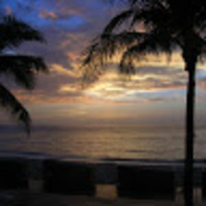 donaldschofield avatar