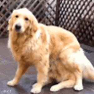 veronicahawkins avatar