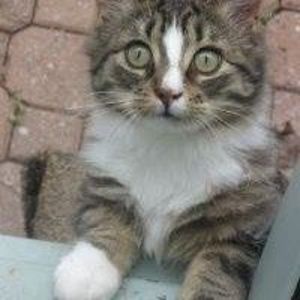 jeanettemather avatar