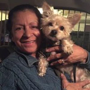 ligiabrooks24 avatar