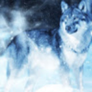 aryonnahbeaton avatar