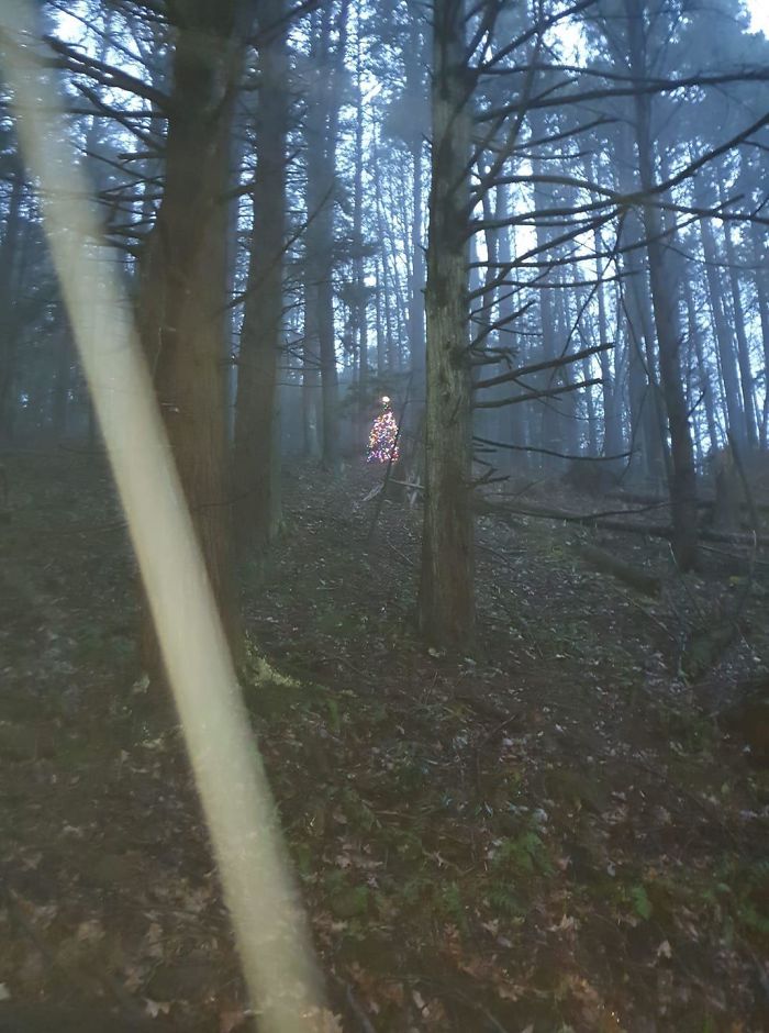 A Creepy Little Christmas Tree Fully Decorated In The Middle Of The Woods. Powered By What Looked Like Mini Solar Panels