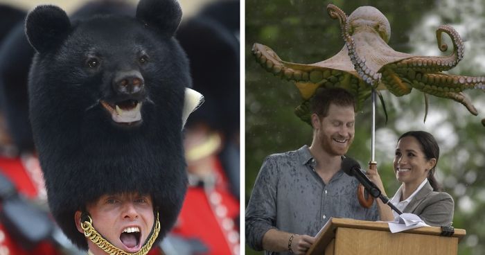 Someone Is Photoshopping Animals Everywhere And People Want More (35 Pics)