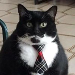 john_homer_fb avatar