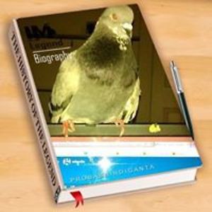 robin_foster_1 avatar