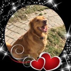 sandy_f_beach avatar