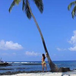 yili_elite_lai avatar