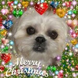 pamela_miller avatar