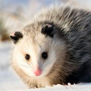 maryann_farrell avatar