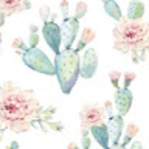 lindseysquire avatar