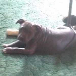 ghostrage2019 avatar