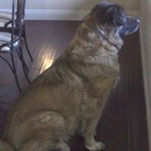 billiehillier avatar