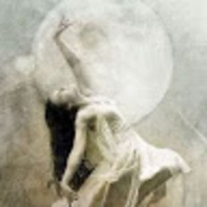 lizabellastephenson avatar