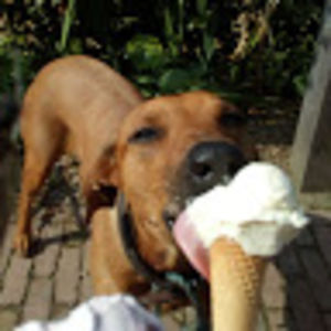 en-joyceenjoythetime1978 avatar