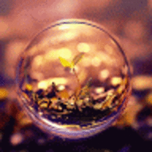 canadiansailorgamer avatar